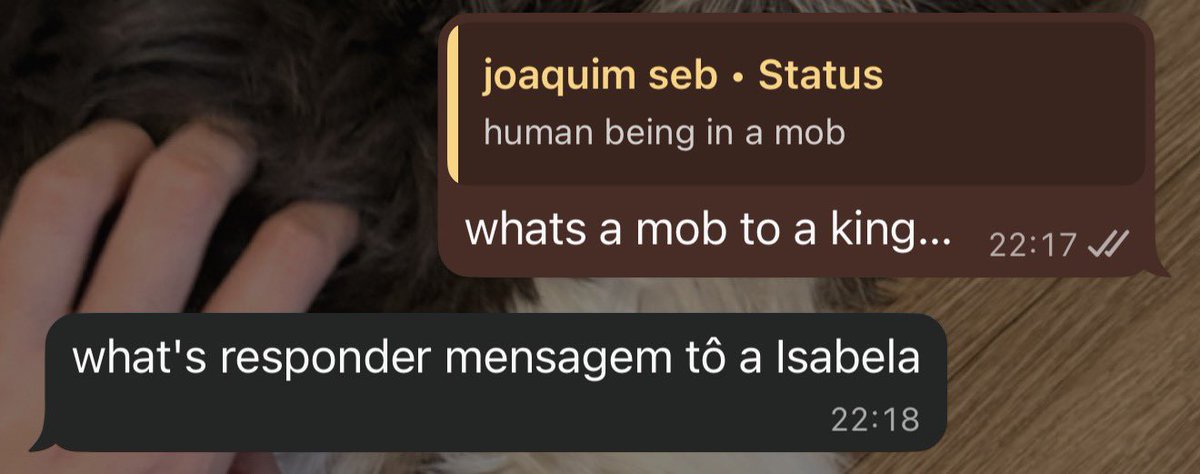 focsi ૮ ˶ᵔ ᵕ ᵔ˶ ა tweet media