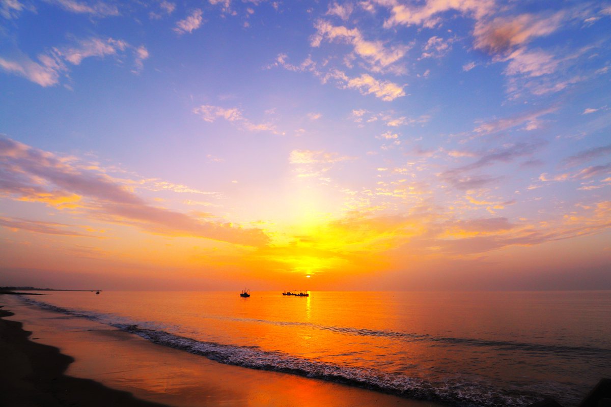 kumejirou202509's tweet image. 月21日（火）　＃日の出
おはようございます(^_^)v☀
最近、近くの麦畑でキジを見かけますが、
何故か雄しか見たことがありません。
やはり雄は鳴くので目立つのでしょうか？🤔
皆様、今日もよろしくお願い致します🙇