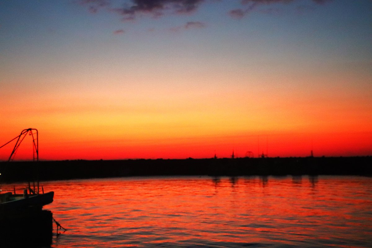 kumejirou202509's tweet image. 月21日（火）　＃日の出
おはようございます(^_^)v☀
最近、近くの麦畑でキジを見かけますが、
何故か雄しか見たことがありません。
やはり雄は鳴くので目立つのでしょうか？🤔
皆様、今日もよろしくお願い致します🙇