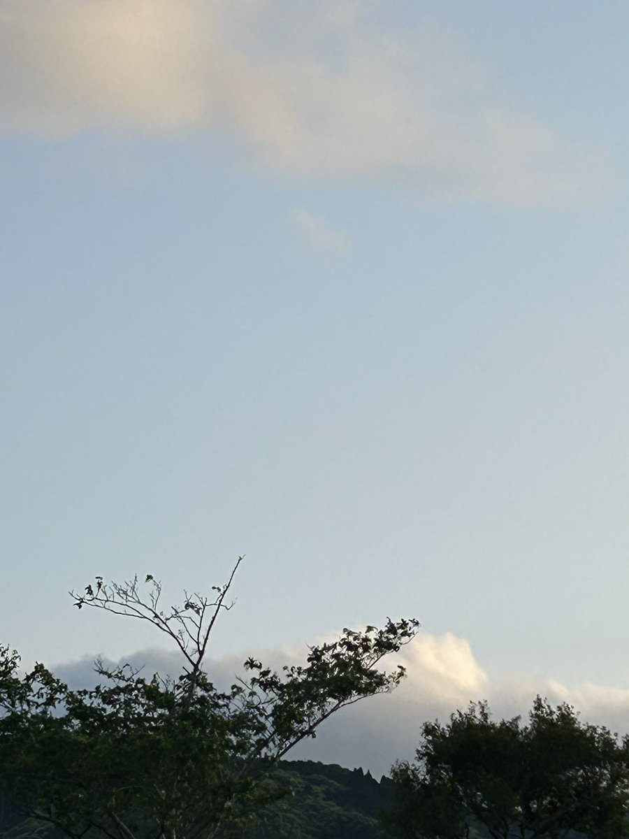 梅堤の上空

18時21分

#夕暮れ時
#淡い夕焼け
#梅堤
#ラジオネーム🌼
#こみたん東郷聖子