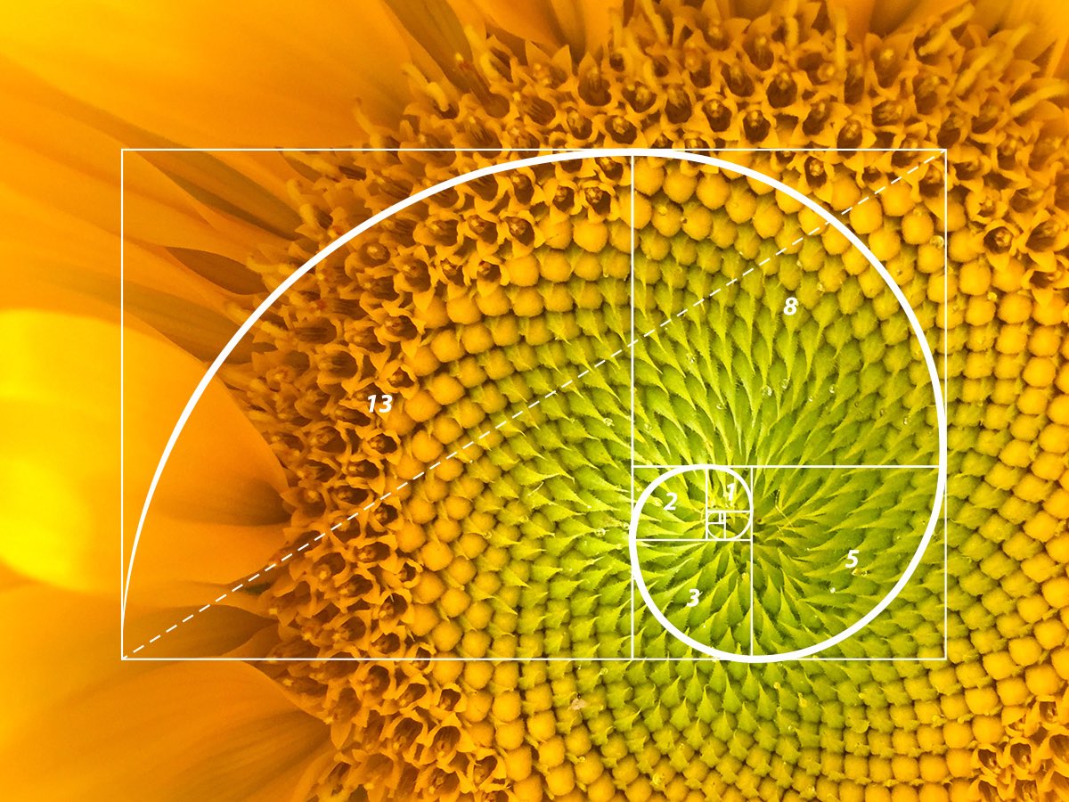 Art4ThGlryOfGod's tweet image. 🌻🙏 One Hail Mary builds the Rosary — just like the Fibonacci sequence.

Simple repetition creating divine spirals of prayer &amp;amp; beauty in nature. 🌻✝️

God’s order everywhere.

grok.com/share/c2hhcmQt…

#catholic #rosary #prayer #Fibonacci