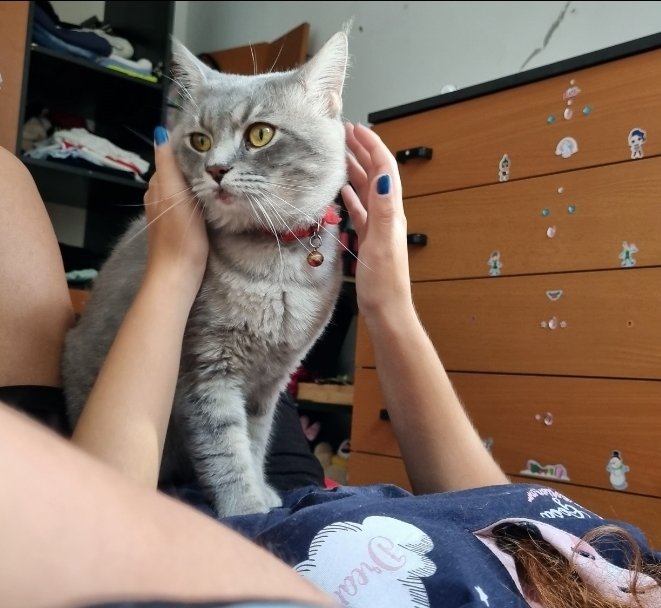 part time peter pan tweet media