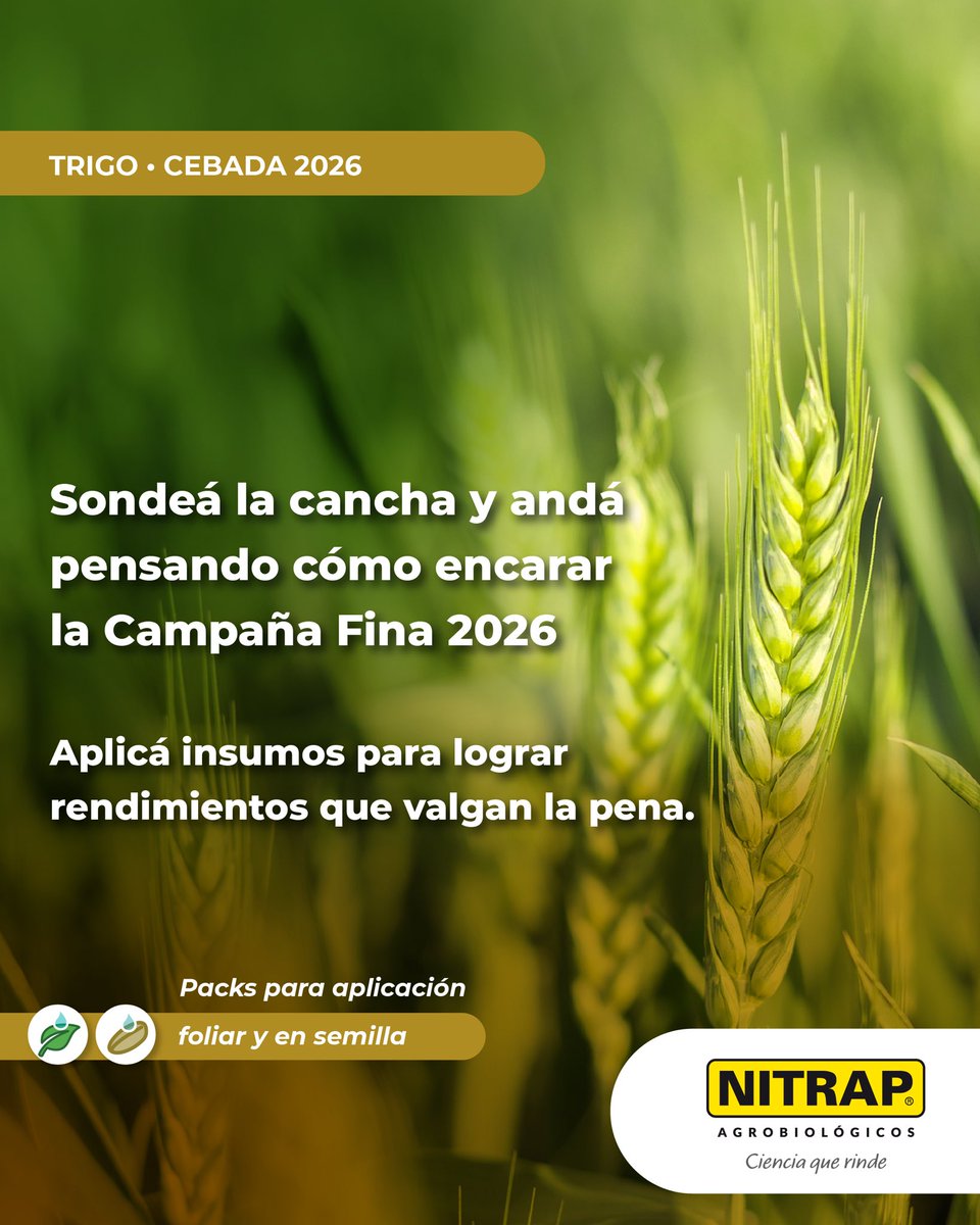 Nitrapagro's tweet photo. Seguimos brindándote las mejores opciones para esta campaña fina 2026.

Podés maximizar los rendimientos de #trigo #cebada #centeno con promotores de crecimiento.

👉BioPack fina: Azotrap + Tricotrap
👉Pack Tricotrap: Tricotrap + Protrap

Nitrap Agrobiológicos
Ciencia que rinde https://t.co/7szv3W3cyi