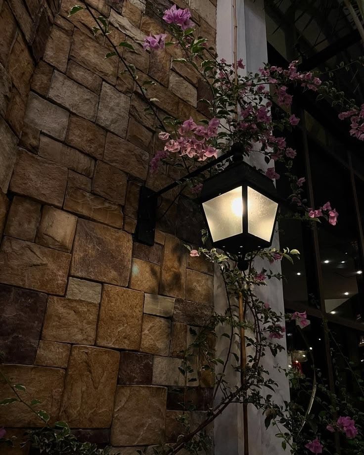 نوره tweet media