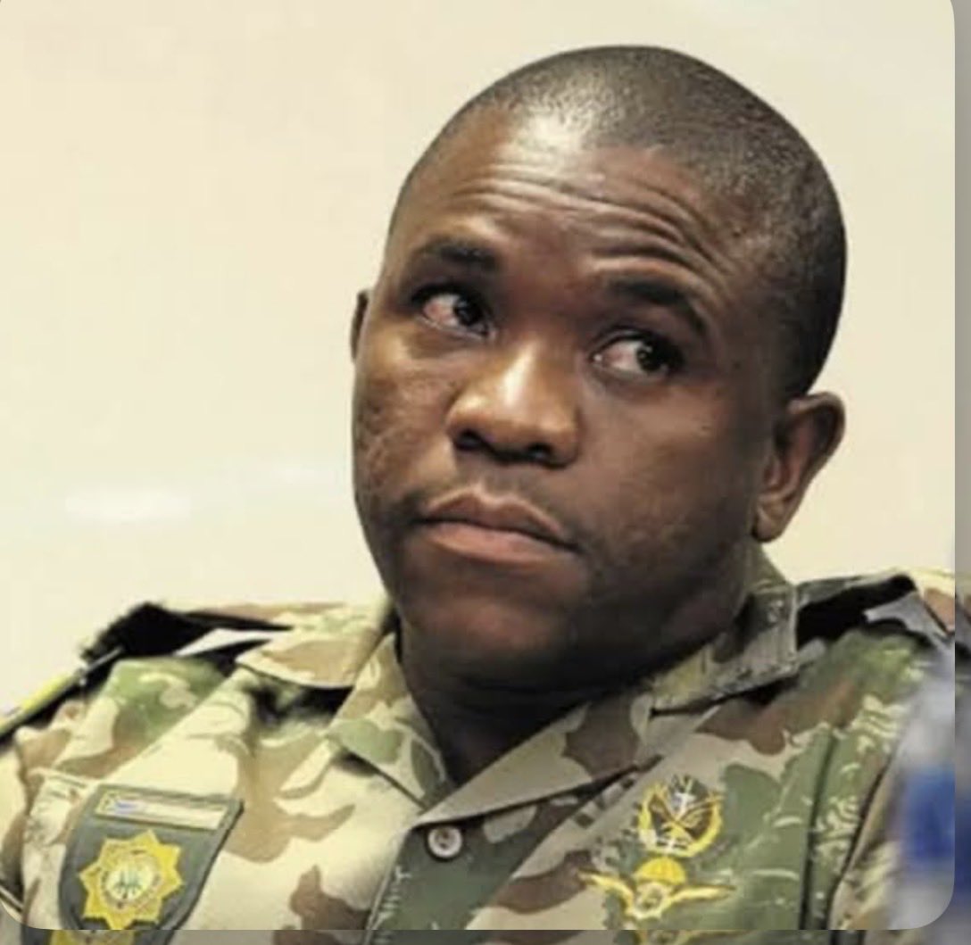 Sunflower tweet media