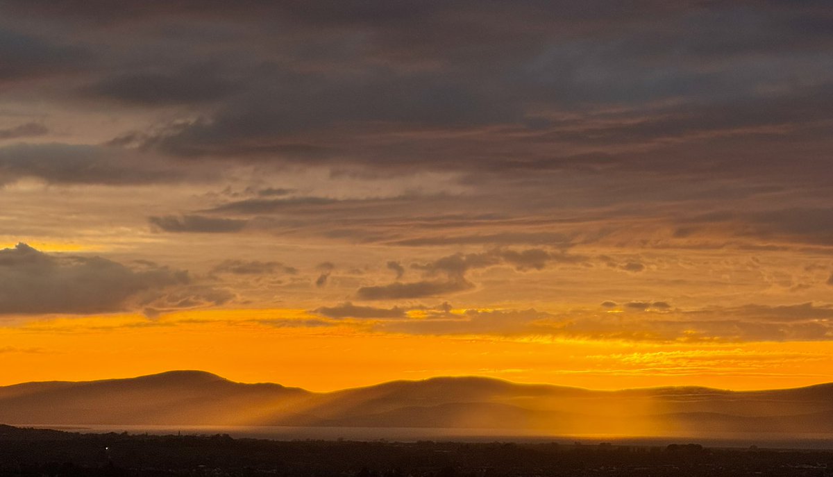 Rachel Cassidy tweet media