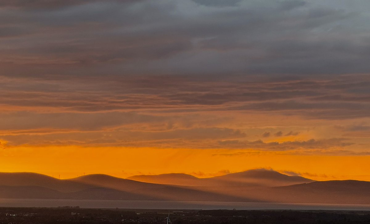 Rachel Cassidy tweet media