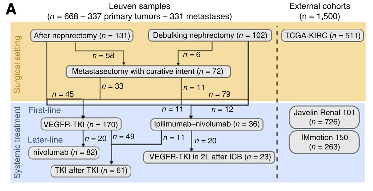 AbhishekDGarg's tweet image. 🥂Happy to have collaborated on this fantastic study @CRC_AACR: #Prognostic &amp;amp; #Predictive Value of Clearseq1–4 #Tumor #Microenvironment #Classification in Localized and Metastatic Clear-Cell Renal Cell #Carcinoma
🙏Congrats B.Beuselinck &amp;amp; team!
👉aacrjournals.org/cancerrescommu…
@UZLeuven