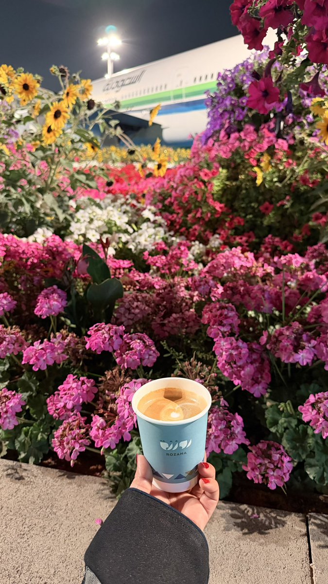 haven_909's tweet photo. بليفارد فلاورز🌸 https://t.co/zf6u4biyET