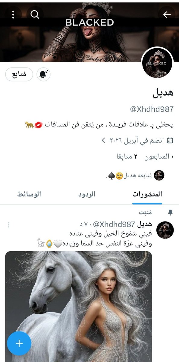 ْ✷` 🎀 𝒯𝒶𝓁𝒶 🎀 `✷ tweet media
