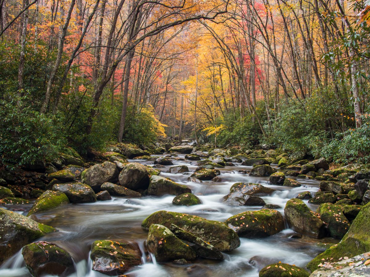 Visit North Carolina tweet media