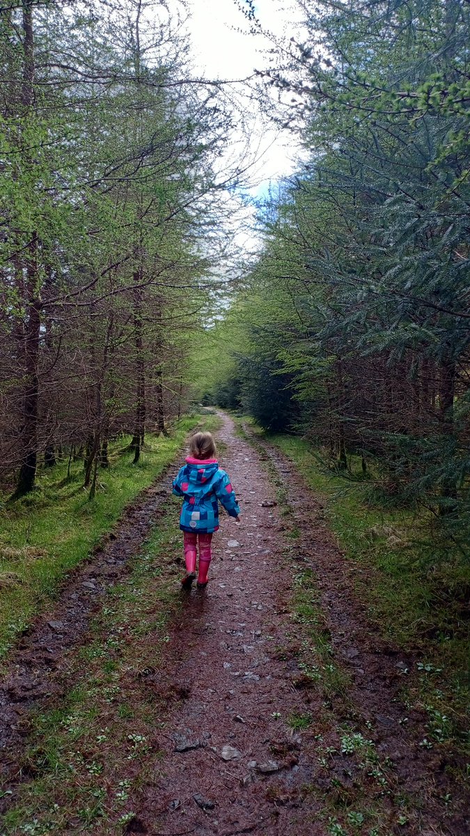 SkyeWolf84's tweet image. Our friend on our wet walk yesterday #outside #home #Skye #slug #nature