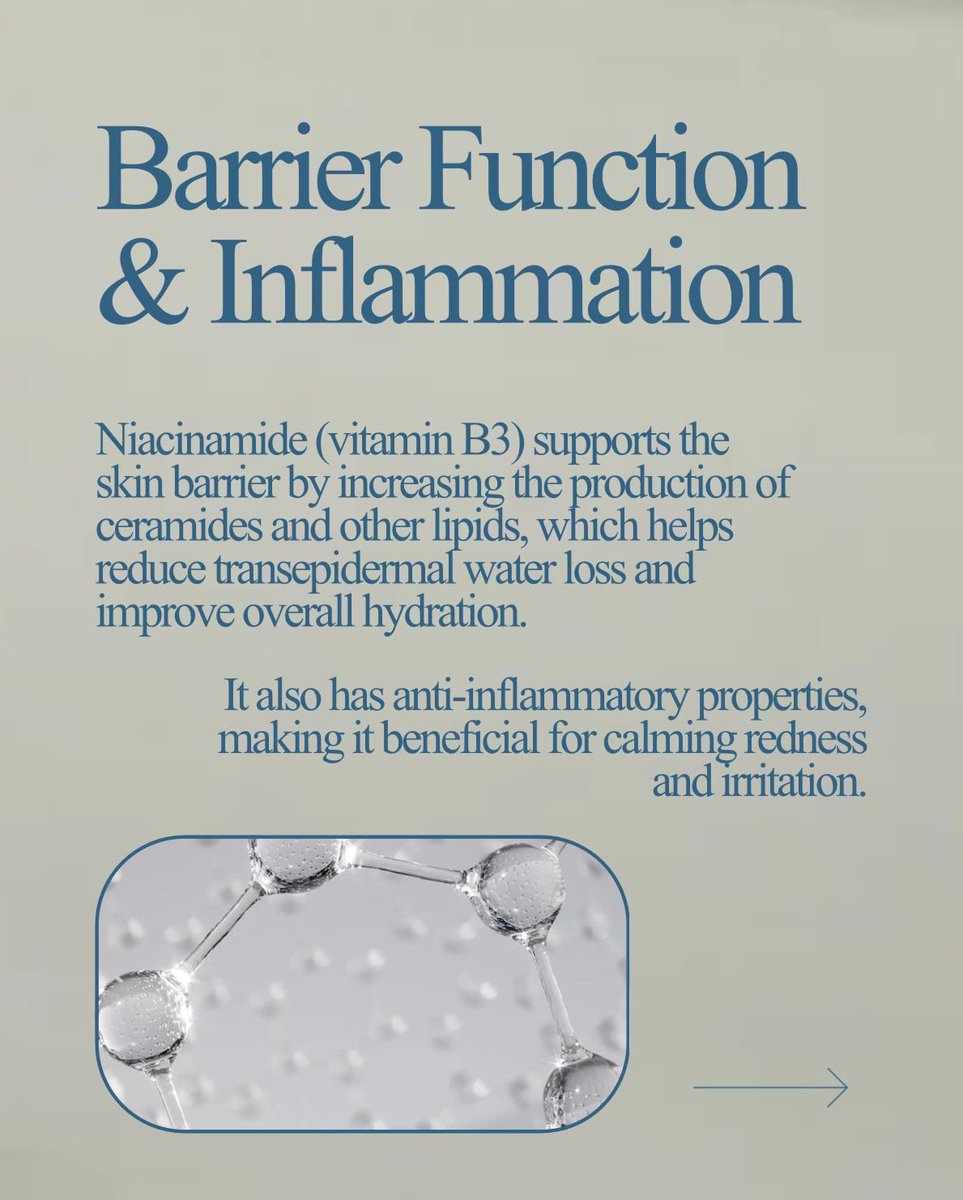 DermMedGroup's tweet image. Niacinamide is everywhere—but find out what it’s really doing for your skin.

It’s one of the few ingredients that works for almost everyone—acne-prone, sensitive, or barrier-damaged skin.

#niacinamide #skincare #dmgnc #skincareingredients