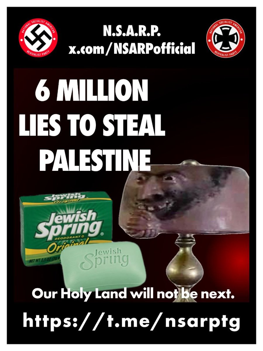 National Socialist American Revivalist Party tweet media