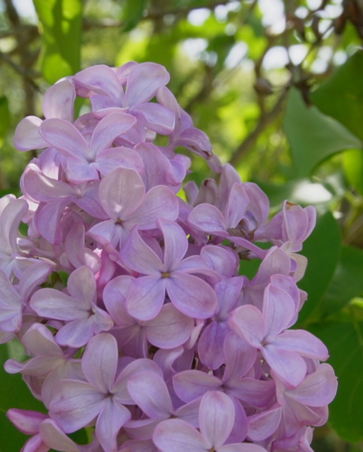 歩美🌸 tweet media