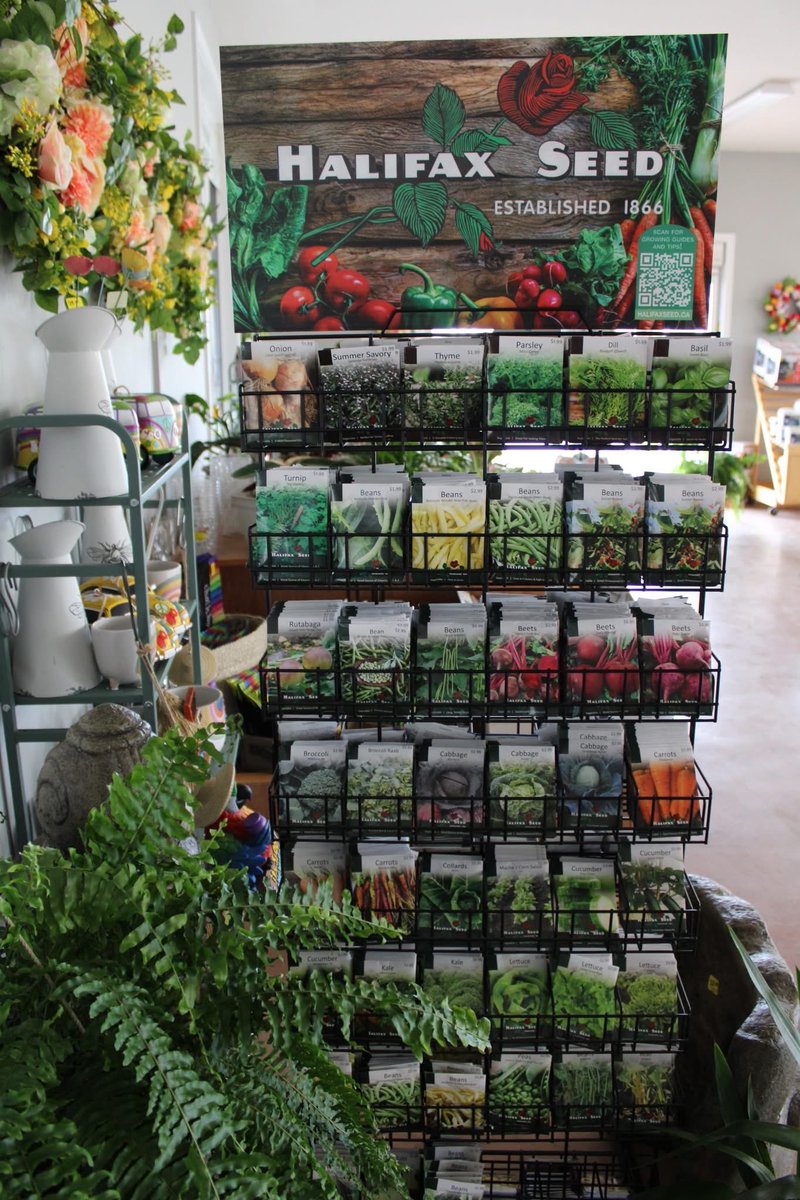 123murrey's tweet image. We have exciting news! 🥳 Our retail shop is officially OPEN for the season —  for the purchase of seeds, fertilizers, soils, gift cards + more! Find everything you need to sucSEED at our greenhouse — with our selection of quality seeds. RiseandShine nursery #Goulds #StJohns #NL