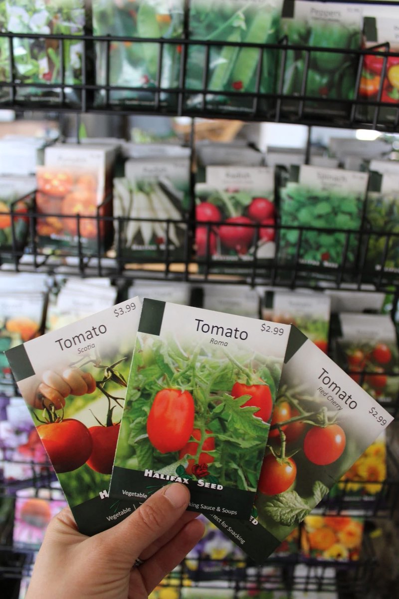 123murrey's tweet image. We have exciting news! 🥳 Our retail shop is officially OPEN for the season —  for the purchase of seeds, fertilizers, soils, gift cards + more! Find everything you need to sucSEED at our greenhouse — with our selection of quality seeds. RiseandShine nursery #Goulds #StJohns #NL