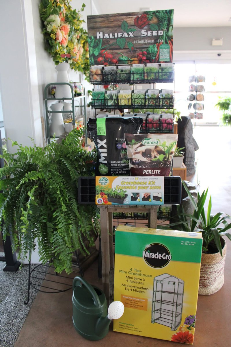 123murrey's tweet image. We have exciting news! 🥳 Our retail shop is officially OPEN for the season —  for the purchase of seeds, fertilizers, soils, gift cards + more! Find everything you need to sucSEED at our greenhouse — with our selection of quality seeds. RiseandShine nursery #Goulds #StJohns #NL