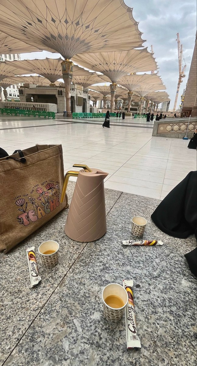 مودّة 𓂆 tweet media