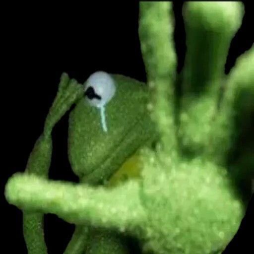 Bridget⛓️🩵🍅 tweet media