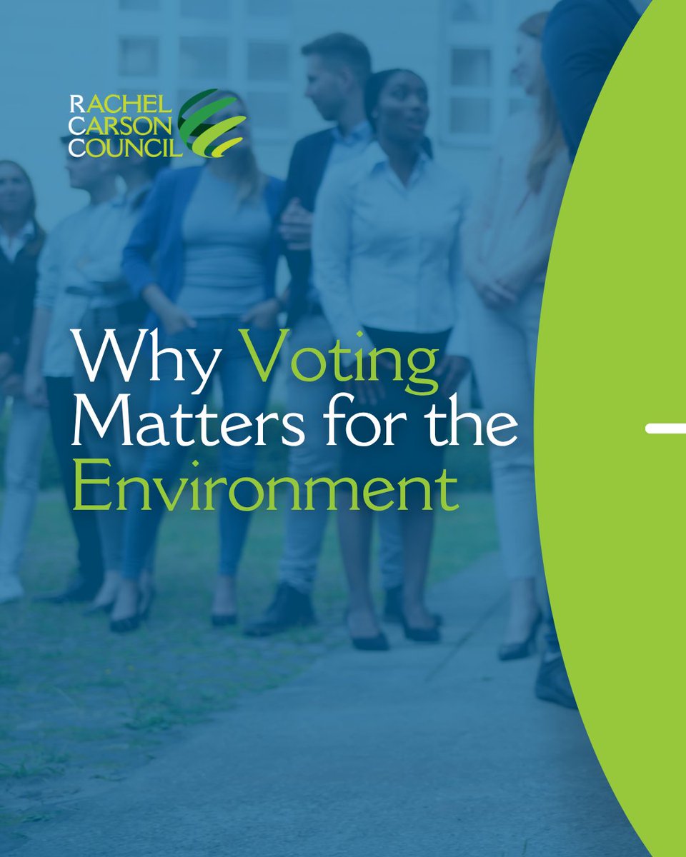 RachelCarsonDC's tweet image. Voting isn’t just a political issue, it’s an environmental one. 

Our Voter Toolkit offers clear, nonpartisan guidance on how, when, and where to vote, plus resources to help you share that information with your community: rachelcarsoncouncil.org/voter-toolkit/ 

#RCCVotes #GetOutTheVote