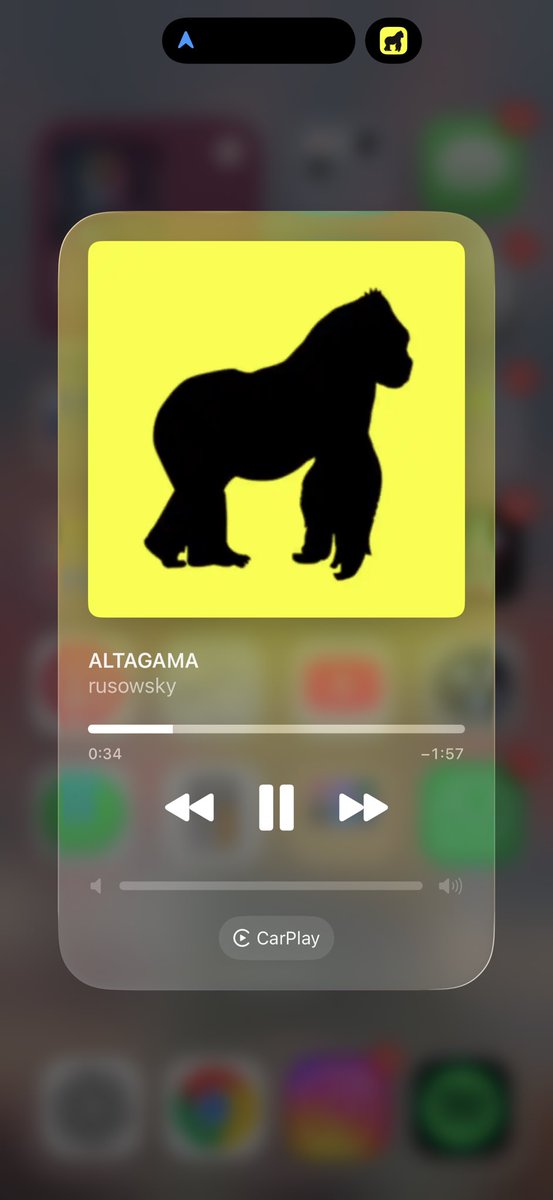 gabi gabi tweet media