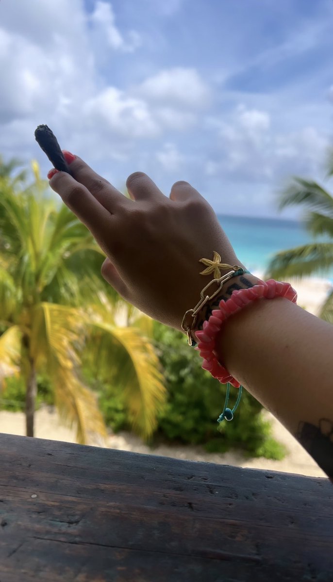 Bibi 🖤 tweet media