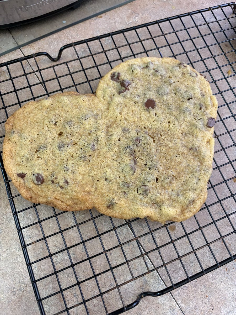 LetiziaWrites's tweet image. A happy baking accident left us with a heart cookie. Sending love out to all the #writers in the #writingcommunity this week. 💗💗