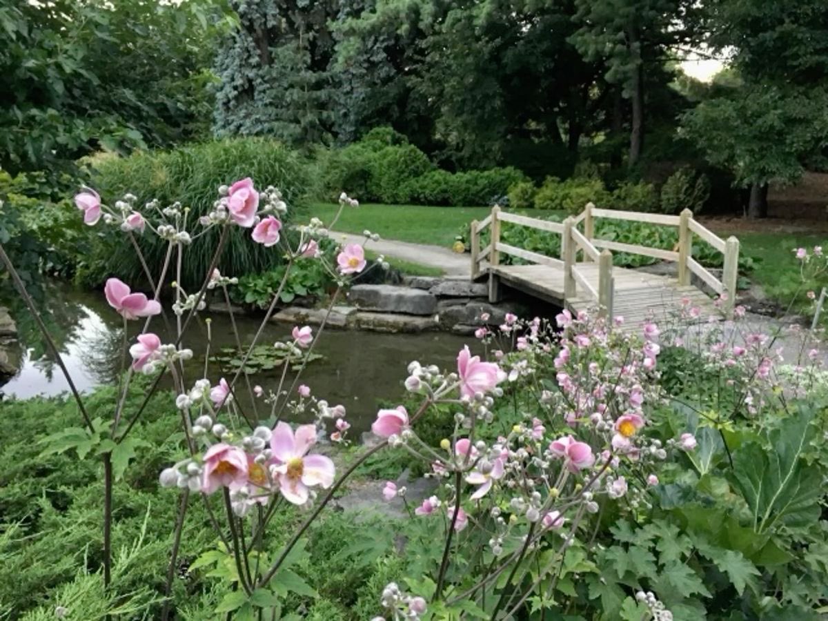 °❀.ೃ࿔* tweet media