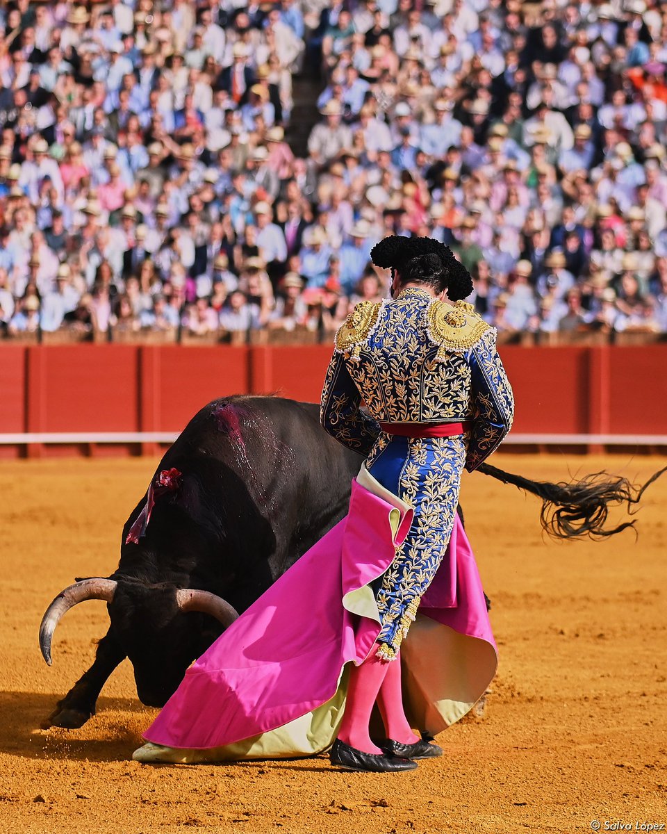 Morante de la Puebla • Real Maestranza de Caballería de Sevilla.

📸 <a href="/SalvaLpezMedina/">Salva López Medina</a> 

#Maestranza26 #Temporada26