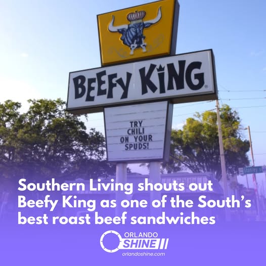 TheOrlandoShine tweet media