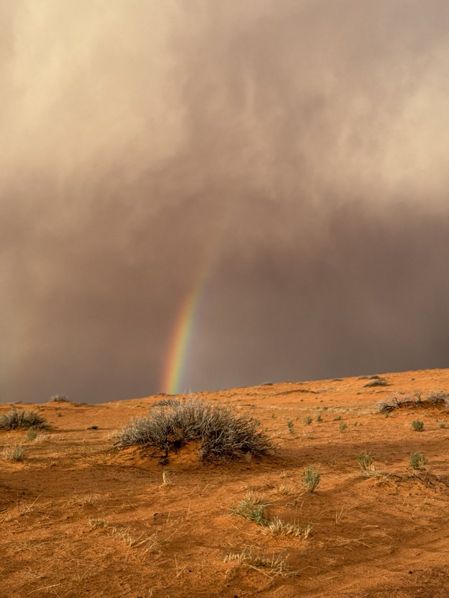 N✨🕊️ tweet media