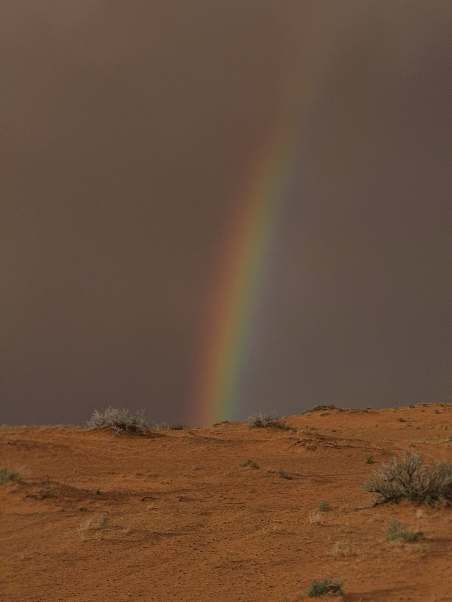 N✨🕊️ tweet media