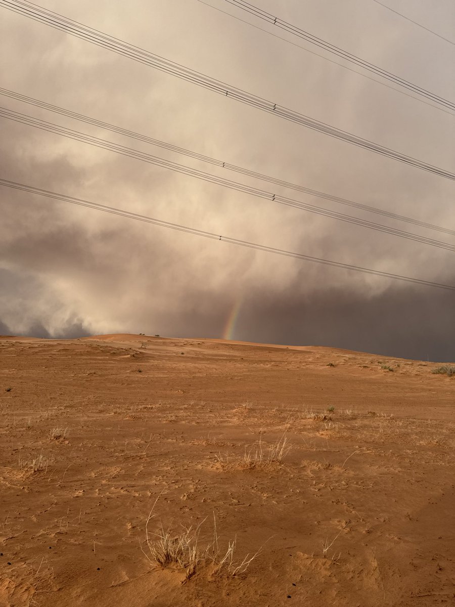 N✨🕊️ tweet media