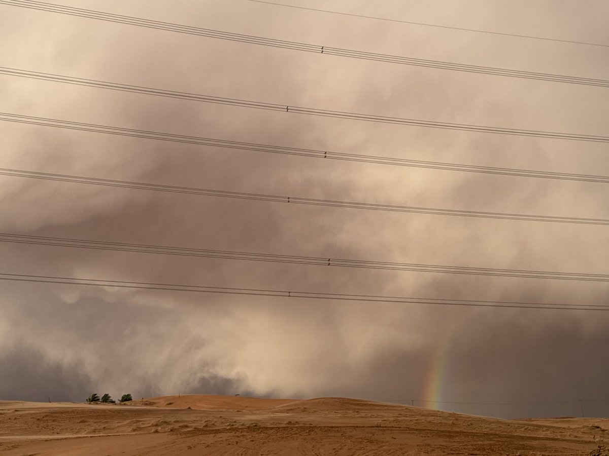 N✨🕊️ tweet media