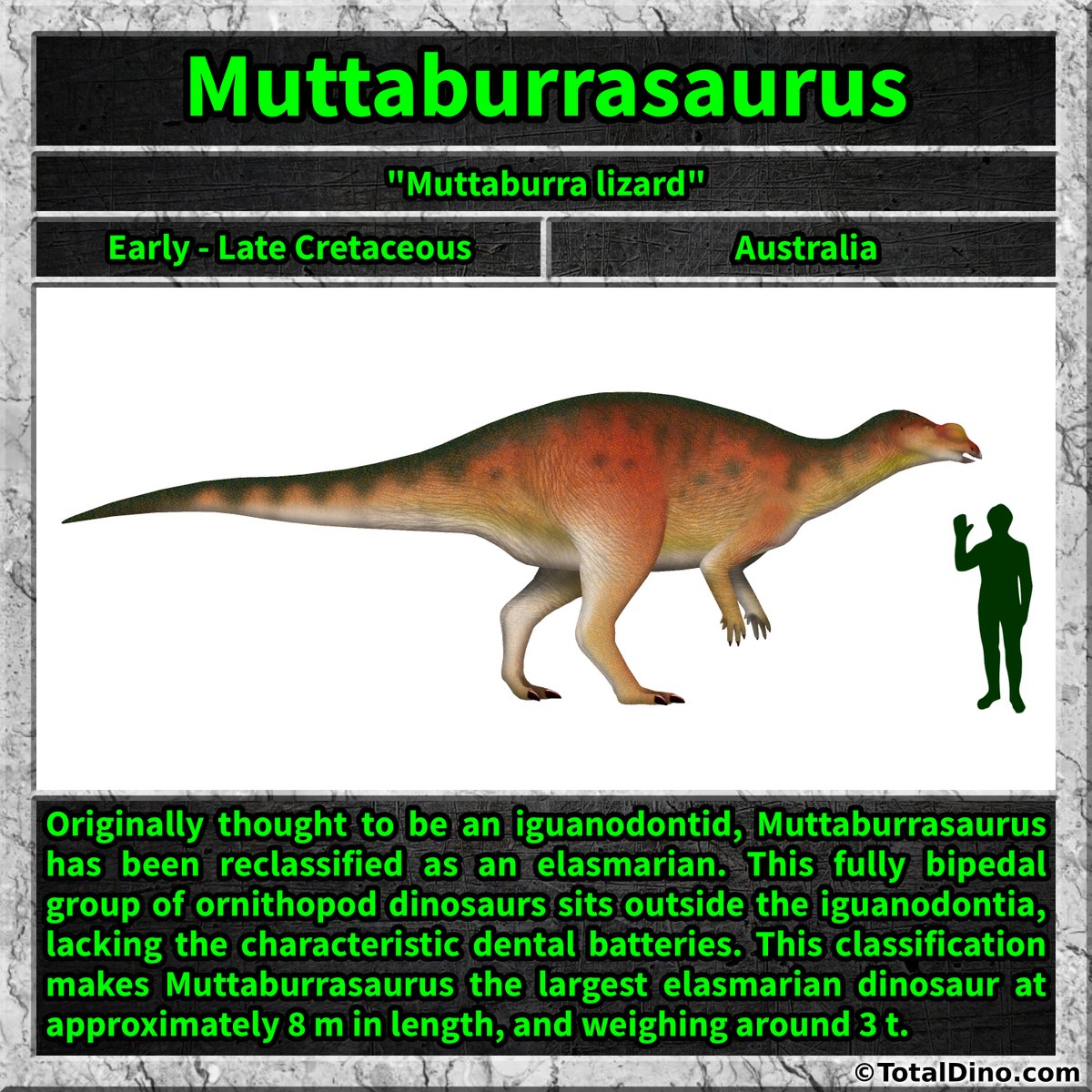 Total_Dino's tweet image. Muttaburrasaurus was a request from Cretaceous tier member Jac Conte on Patreon!
#muttaburrasaurus #dino #dinosaur #dinosaurs #cretaceous