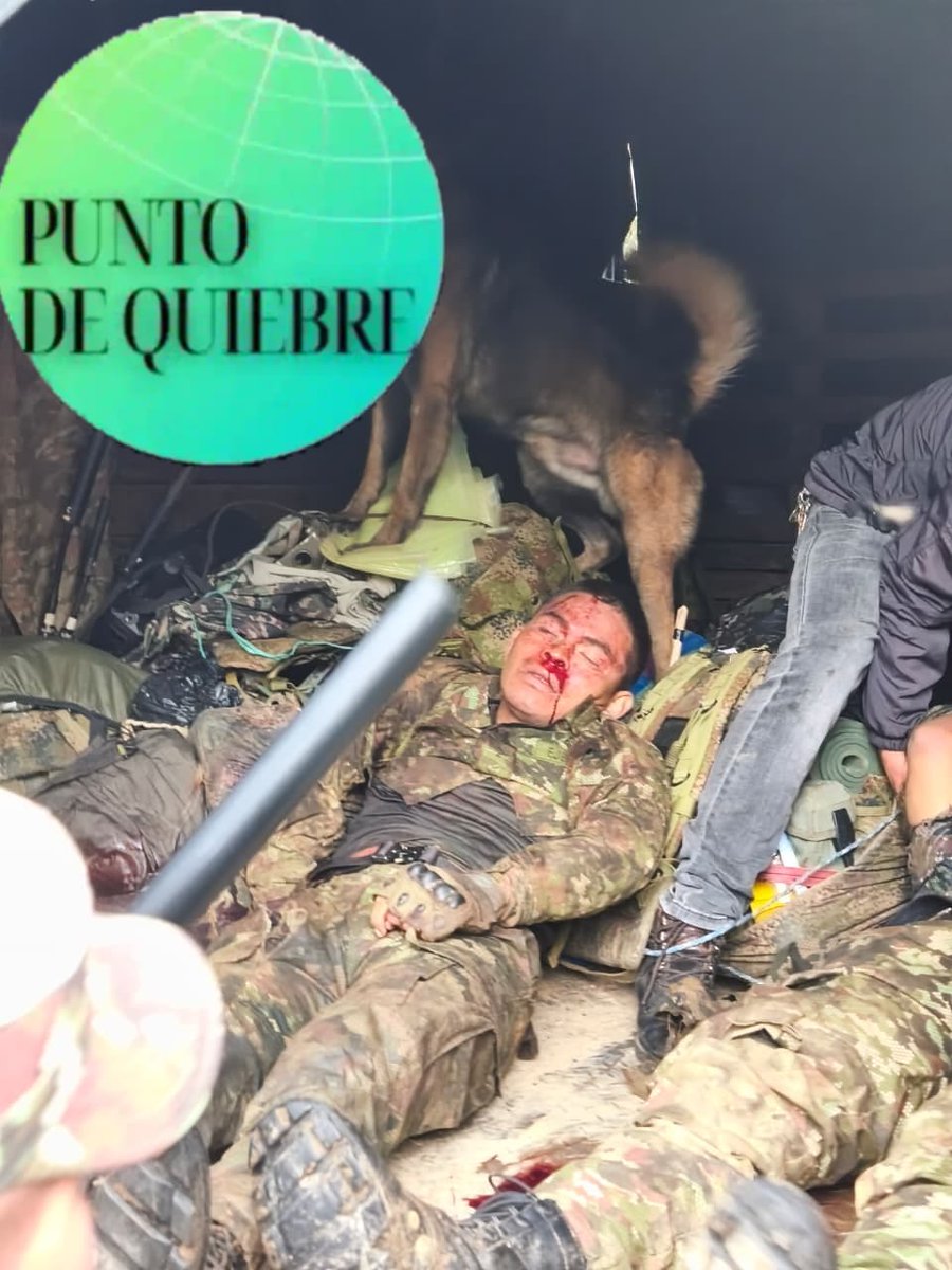 Periódico Punto de Quiebre tweet media