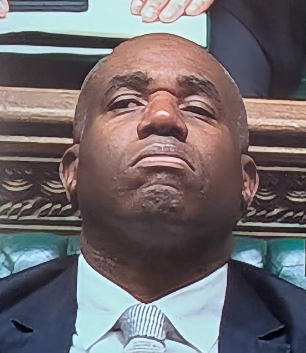 Nina Wysocka tweet media