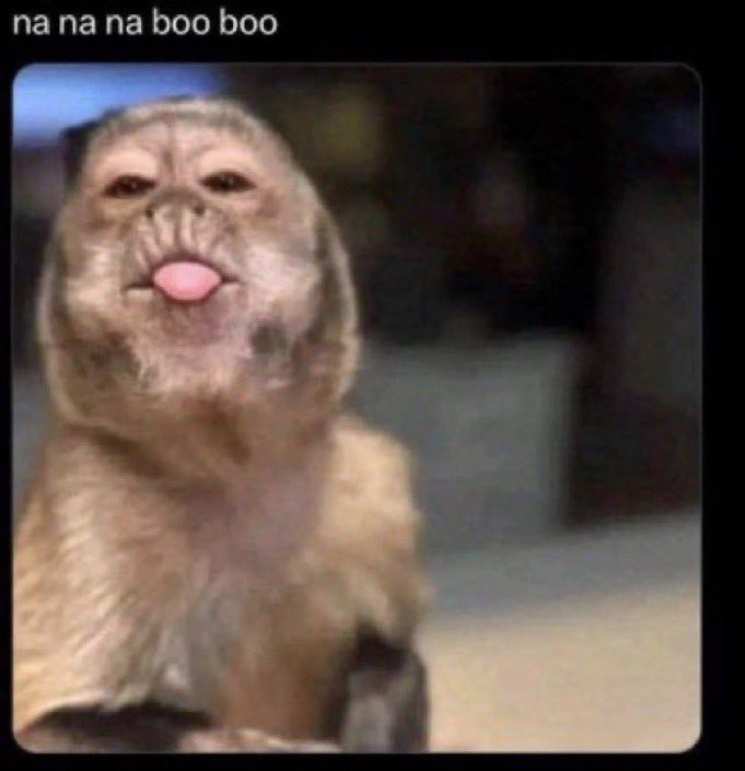 Leo 3:17 ✶ 🌺 tweet media