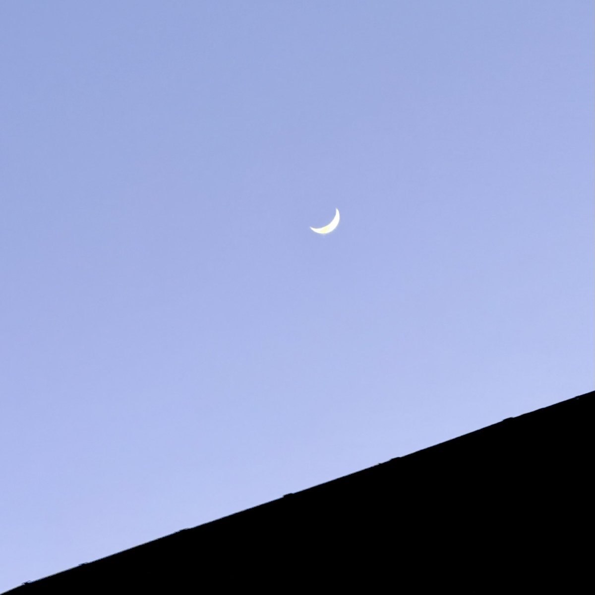 TobyWoody's tweet image. Newark Avenue moon, wires and rooftops this evening ….. #Peterborough