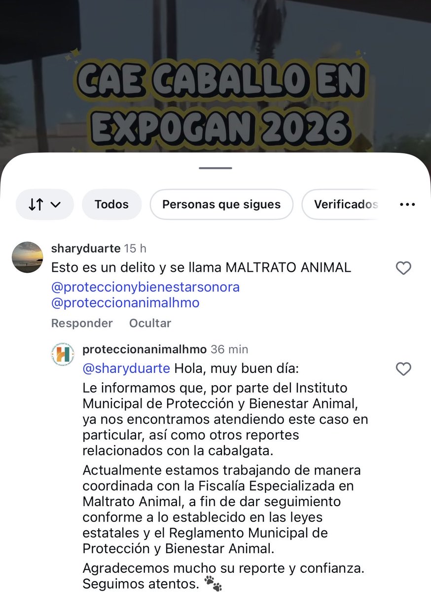 Solangel Ochoa tweet media