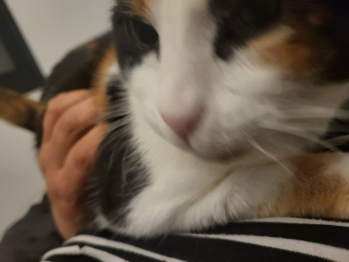 spaghetti_ts tweet media