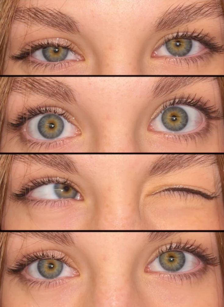 KJO 🍀 | CHIBICON X tweet media