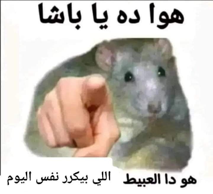 QaSsem_A7med's tweet photo. https://t.co/L3QXZsAv1N