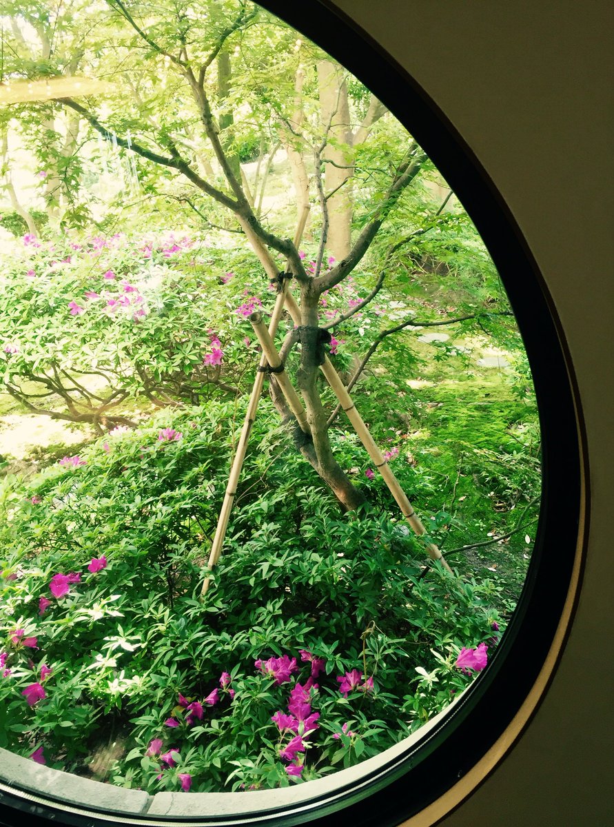 ささいムサシ tweet media