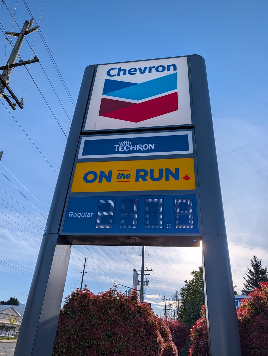 guyfelicella🇨🇦🍁 tweet media