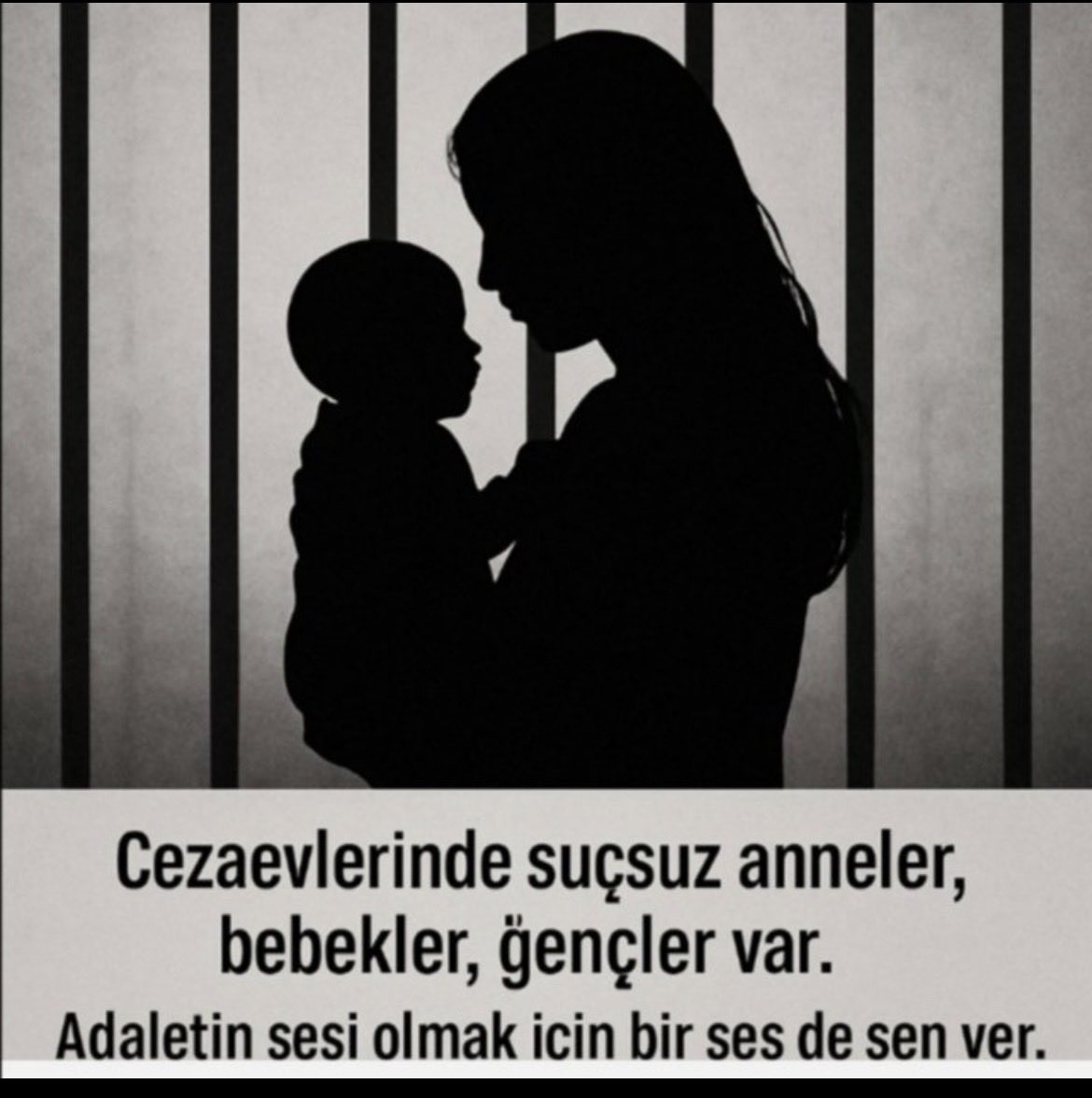 FURTUNA tweet media