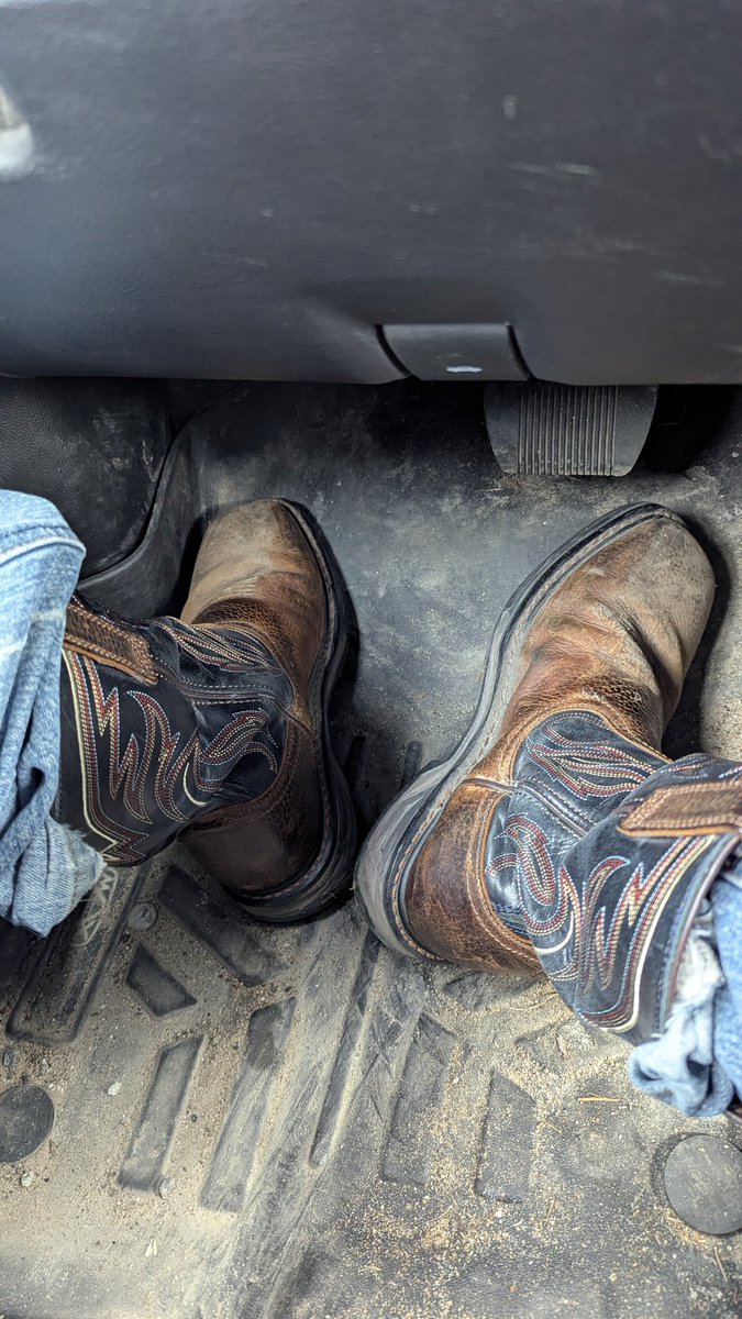 Valoreon tweet media