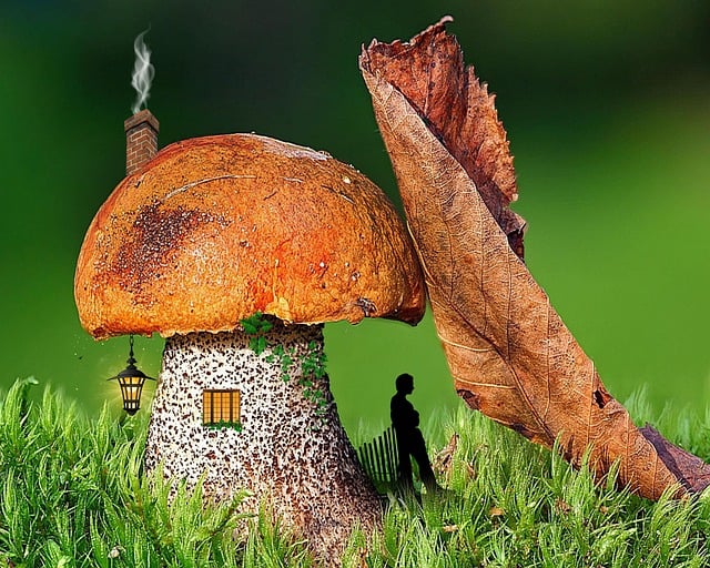 Marta Holland tweet media