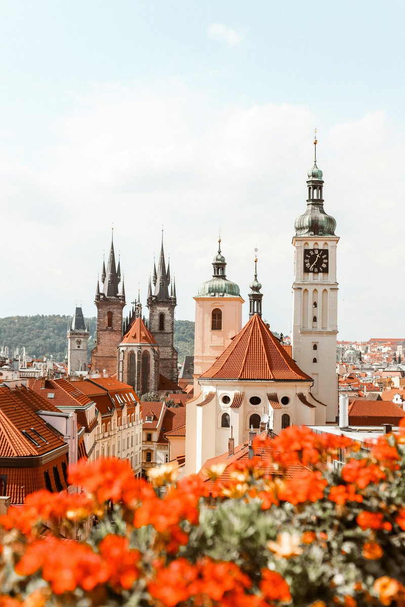 guidetoeu's tweet image. In spring, Prague comes alive with cherry blossoms and fresh greenery across the city! 🌸✨

Historic landmarks like Charles Bridge and Prague Castle feel even more magical surrounded by soft pink blooms.

#prague
